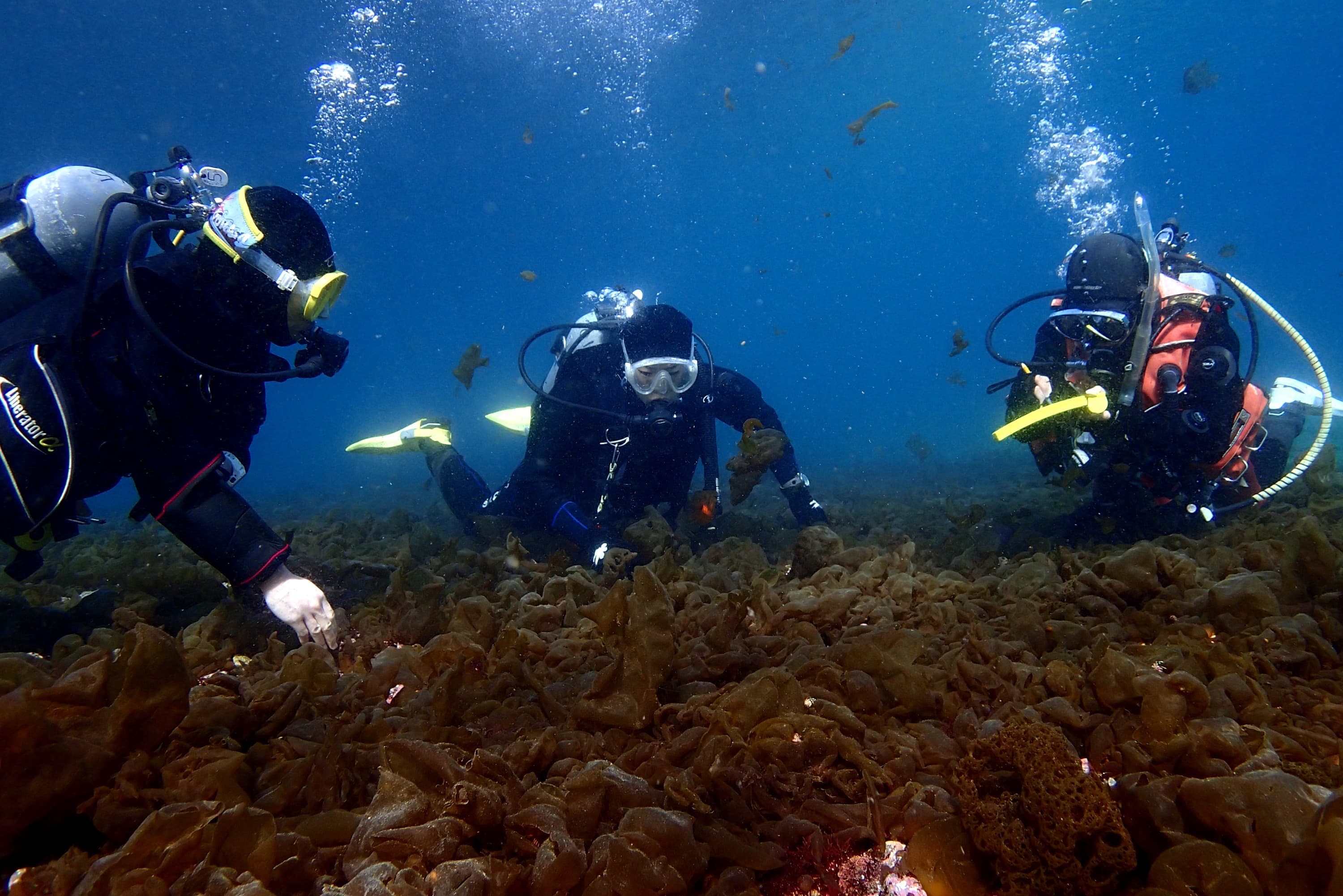 水深1mの海中世界で呼吸とバランスの練習中